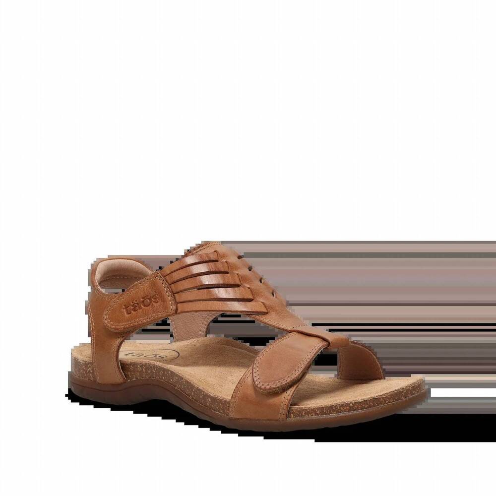 NEW TAOS women's wonderful sandal in caramel